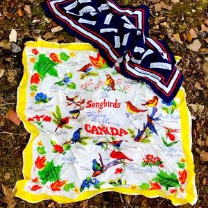 Vintage Scarf Head Wrap Canadian Songbirds Birds Red Blue Primary Italy Japan